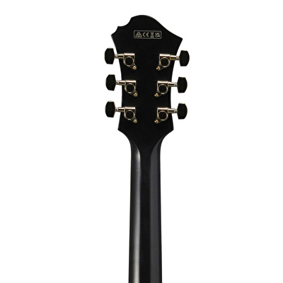 Ibanez PM3C-BKL Pat Metheny Signature Siyah Hollow Body Elektro Gitar